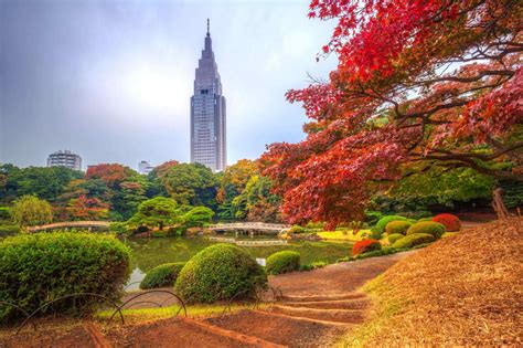 『新宿御苑』について画像をまとめてみた : 健康レシピ＋筋肉の動き＋骨格＝自分の身体を知る