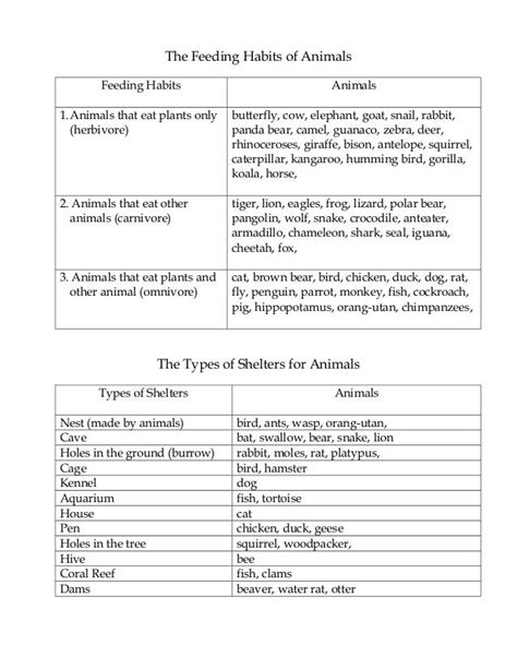 The feeding habits of animals science Year 4