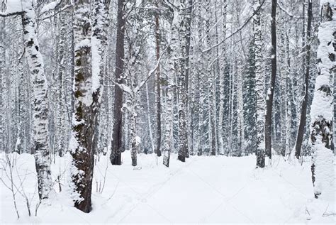 Beautiful winter forest landscape — Stock Photo © Vasilek #1795649