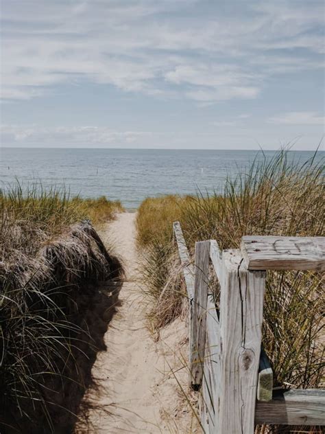 10 Best Dog Friendly Beaches In Michigan | GoPetFriendly