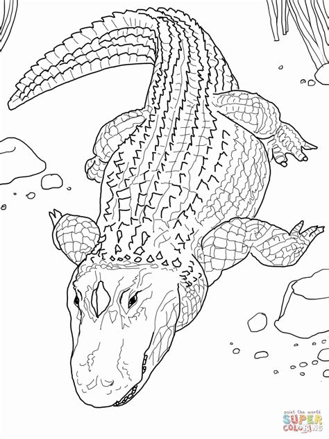 Alligator Template Printable Fresh Alligator Crocodile Coloring Pages | Páginas para colorir ...