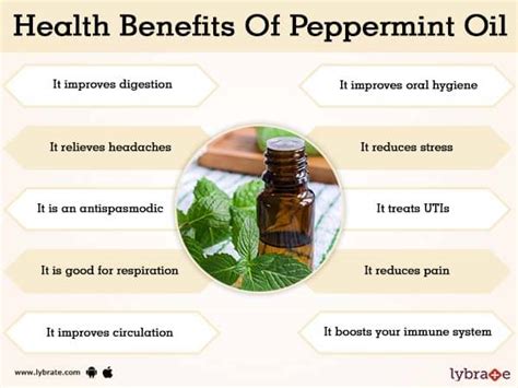 Benefits of Peppermint Oil And Its Side Effects | Lybrate