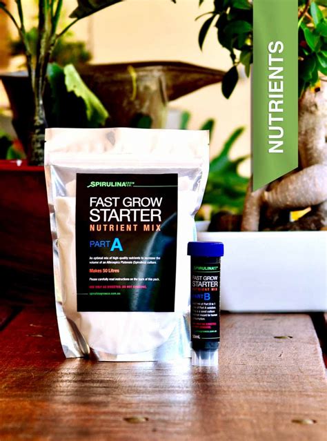 Premium Spirulina DIY Farming Kit - Spirulina Grow Co Australia