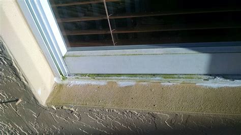 cleaning - How do I source, remove, and prevent green mold on my aluminum windows? - Home ...