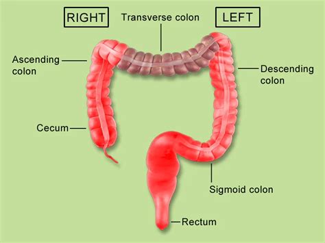 Left vs Right Difference in CRC: Now Practice Changing?