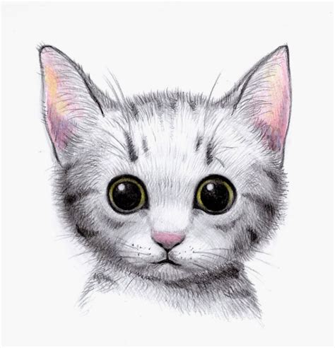 Chaton Mignon Dessin De Chat Facile A Reproduire Dessin Facile Pour ...