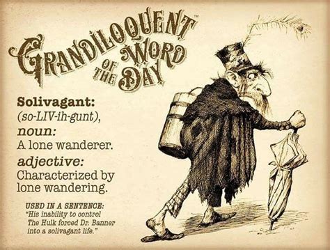 Solivagant (so-LIV-ih-gunt) Noun: -A lone wanderer Adjective: -Characterized by lone wandering ...