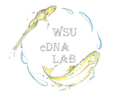 eDNA assays and protocols | Goldberg Lab | Washington State University