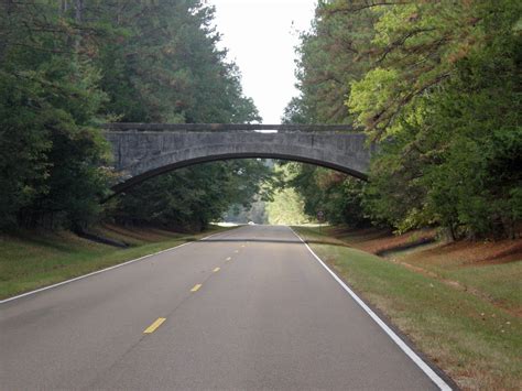 Driving Into The Sunset | Natchez trace, Natchez, Scenic