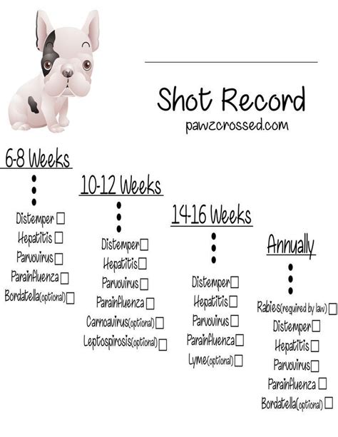 Free Downloadable Puppy Shot Record