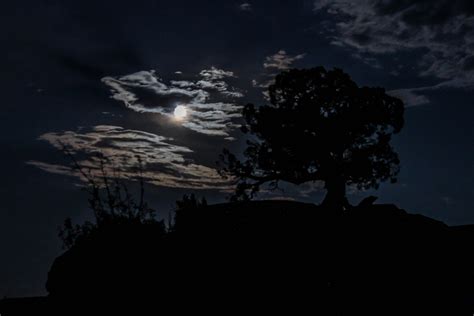 Night Sky | Utah State Parks