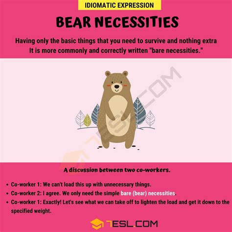 Bear Necessities Meaning, Origin and Examples • 7ESL