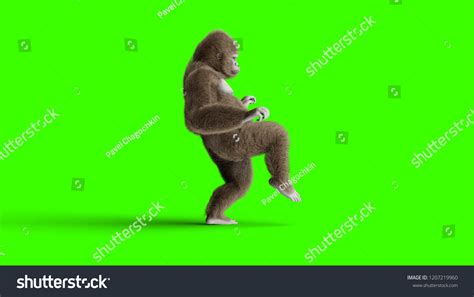 Funny Brown Gorilla Walking Super Realistic Stock Illustration ...