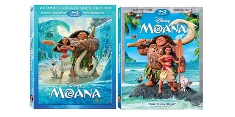 Moana Dvd Menu