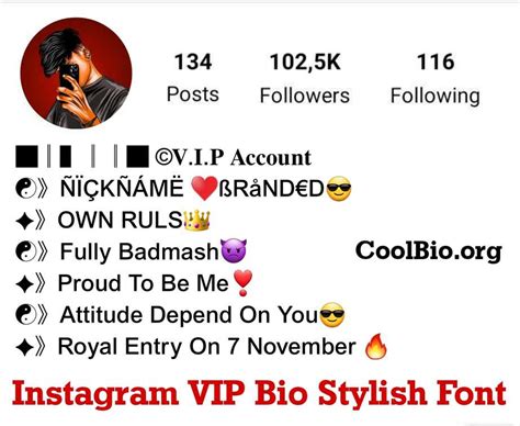 BEST 250+ Instagram VIP Bio Stylish Font (2023) - Cool Bio