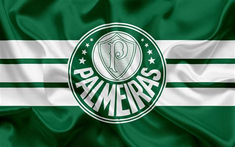 Palmeiras 4K Wallpapers - Wallpaper Cave