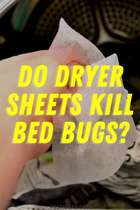 Do Dryer Sheets Repel or Get Rid of Bed Bugs? Or is it a Myth?