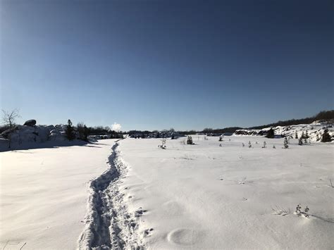 Syracuse, NY : r/winterporn