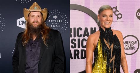 Details on Pink and Chris Stapleton's Relationship