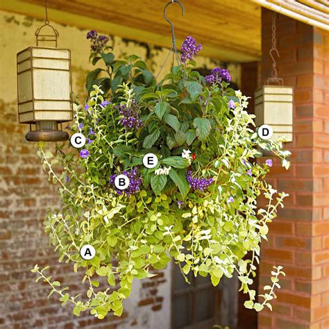 25 Easy and Eye-Catching Hanging Baskets | Better Homes & Gardens