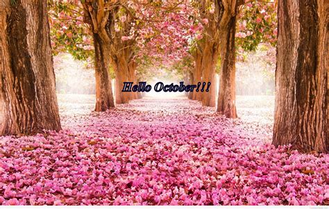 Hello October Wallpapers - Top Free Hello October Backgrounds ...