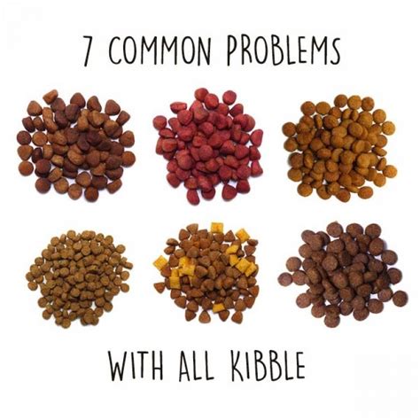 7 Common Problems with All Types of Kibble : Furchild Pet Nutrition