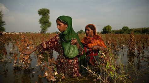 Effects Of Floods On Crops