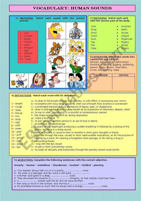 VOCABULARY: HUMAN SOUNDS - ESL worksheet by annapf