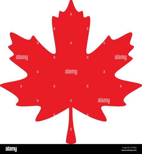 Red maple leaf. Canadian symbol - Vector illustration Stock Vector Image & Art - Alamy