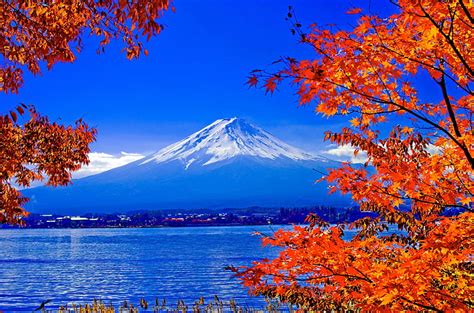 MOUNT FUJI in AUTUMN, mountain, autumn, nature, Fuji, branch, lake, HD ...