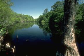 SCDNR - Scenic Rivers