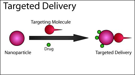 New Approach Helps Achieve Effective Nanoparticle-Based Drug Delivery - INSCX™ Global ...