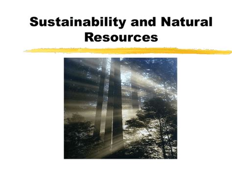 Sustainability and Natural Resources