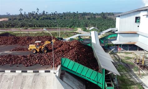 Pembuatan Laporan Keuangan Perkebuanan Kelapa Sawit: Akuntansi Perkebunan Kelapa Sawit - Harga ...