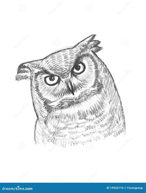 A pencil sketch of an owl stock illustration. Illustration of closeup ...