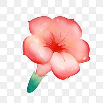 Flores De Dibujos Animados PNG Imágenes Transparentes - Pngtree