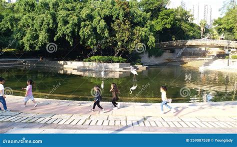 Children Playing in Tuen Mun Park Editorial Stock Photo - Image of tuen ...