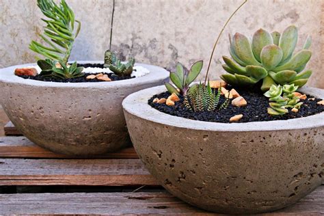 How To Make Concrete Planters: Learn About DIY Cement Planters