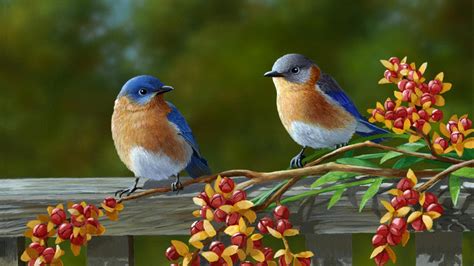 Two beautiful birds on a fence Wallpaper Download 3840x2160