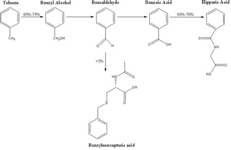 Toluene toxicity - Wikipedia