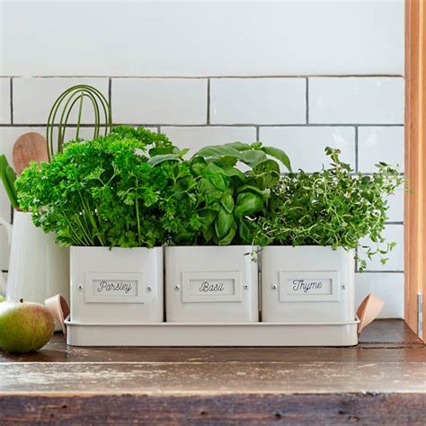 10 Charming Indoor Herb Garden Planters | Taste of Home