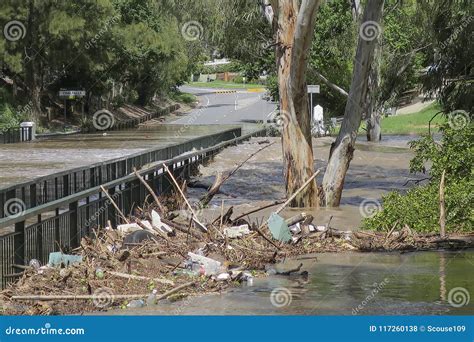 Bremer River in Flood at the Hancock Bridge Stock Photo - Image of ...