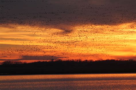 Quivira National Wildlife Refuge - Stafford KS, 67578