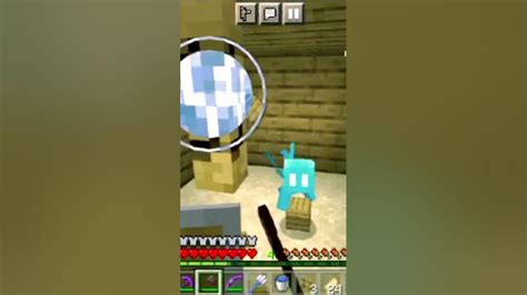 MINECRAFT: FINALLY I FOUND THE ALAY IN MINECRAFT SURVIVAL || MINECRAFT CUTEST MOB ALAY||🐦🐦🐦 ...