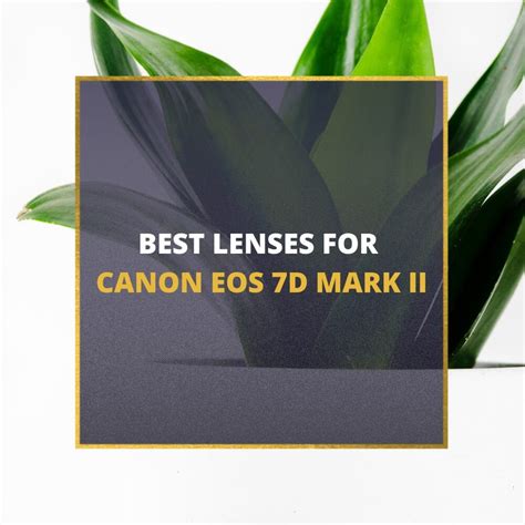 📸 5 MUST-OWN Lenses For Canon 7D Mark II In 2024 (Guide)