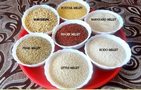 Indian HS Food Products Millets, Speciality: Organic at Rs 75/kilogram ...