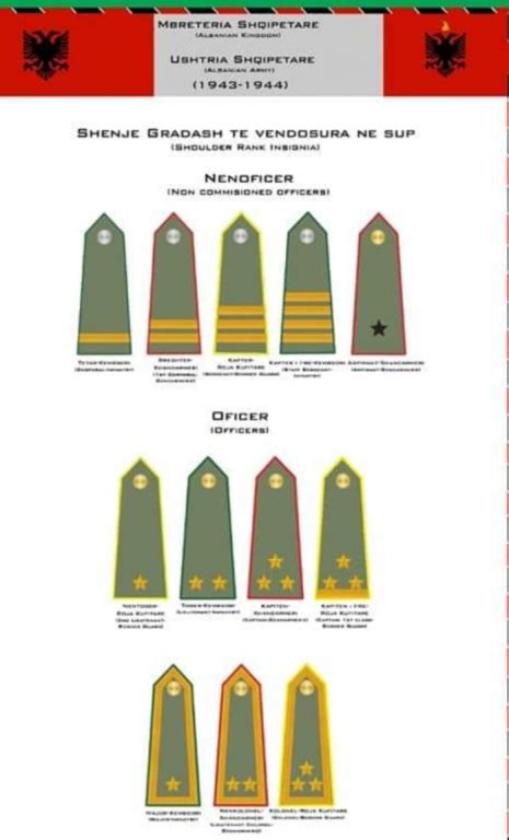 Albanian rank insignia 1943-44. - Southern European & Balkan States - Gentleman's Military ...