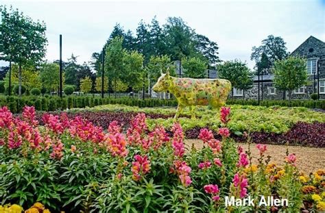 Antrim Castle Gardens - Great British Gardens