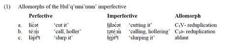 Allomorph – INLP Linguistic Glossary