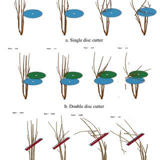 The process of cutting rose stem. | Download Scientific Diagram